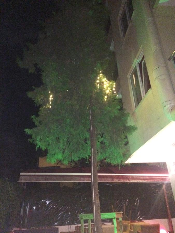 Alanya Demir Hotel Buitenkant foto